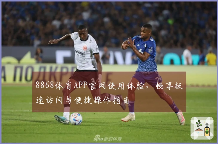 8868体育APP官网使用体验，畅享极速访问与便捷操作指南